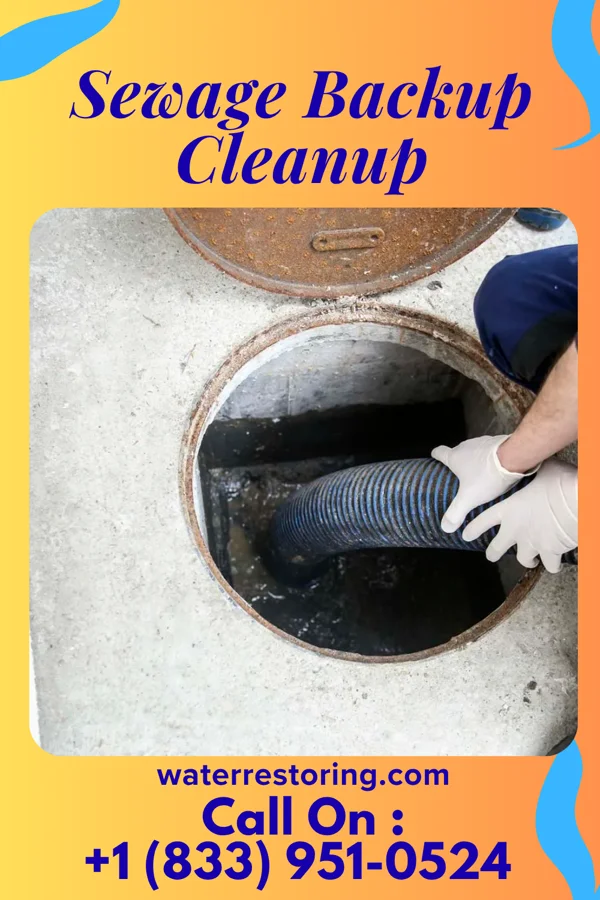 Sewage Backup Cleanup in Emmet, NE